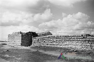 The ruins of Kaunas Castle. Photo by L. Broga, 1955, from Lithuanian central state archive, photodocuments department.